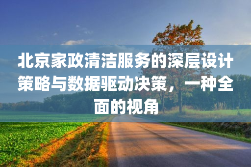 北京家政清洁服务的深层设计策略与数据驱动决策，一种全面的视角