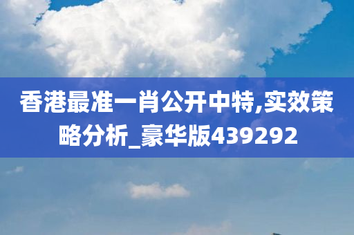 香港最准一肖公开中特,实效策略分析_豪华版439292