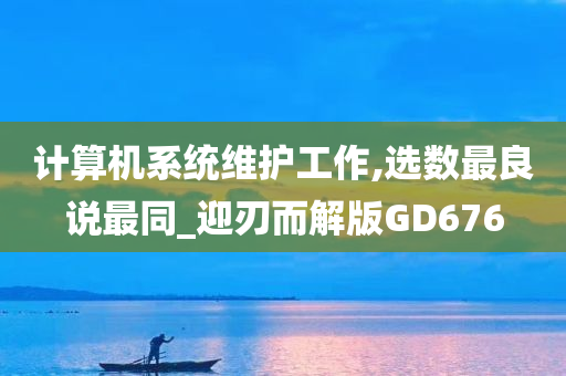 计算机系统维护工作,选数最良说最同_迎刃而解版GD676