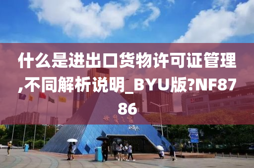 什么是进出口货物许可证管理,不同解析说明_BYU版?NF8786