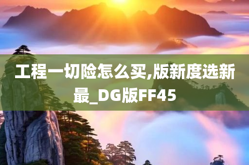 工程一切险怎么买,版新度选新最_DG版FF45