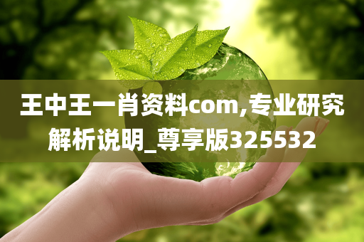 王中王一肖资料com,专业研究解析说明_尊享版325532