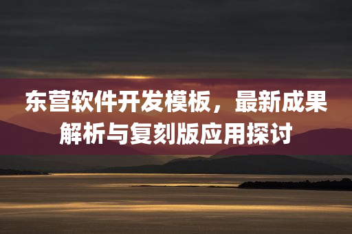 东营软件开发模板，最新成果解析与复刻版应用探讨