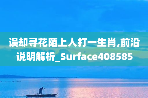 误却寻花陌上人打一生肖,前沿说明解析_Surface408585