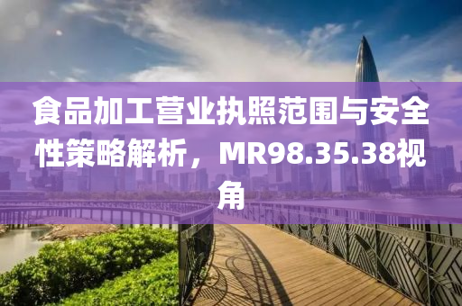 食品加工营业执照范围与安全性策略解析，MR98.35.38视角