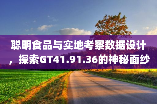 聪明食品与实地考察数据设计，探索GT41.91.36的神秘面纱