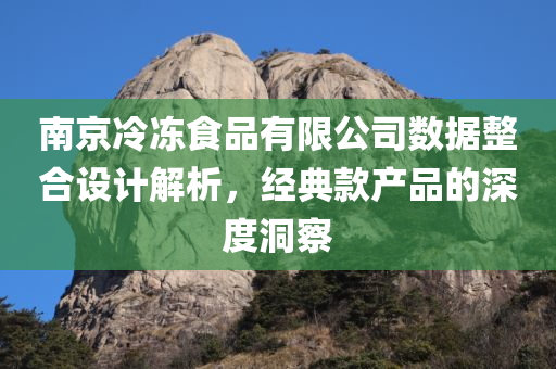 南京冷冻食品有限公司数据整合设计解析，经典款产品的深度洞察