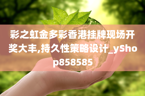 彩之虹金多彩香港挂牌现场开奖大丰,持久性策略设计_yShop858585