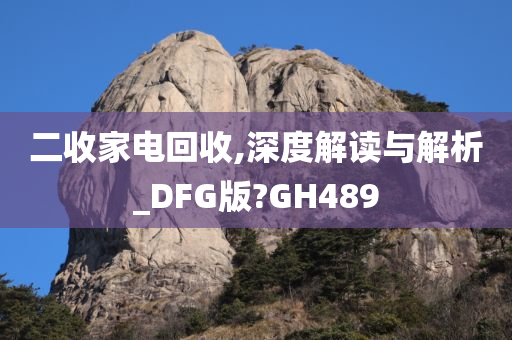 二收家电回收,深度解读与解析_DFG版?GH489