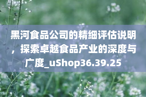 黑河食品公司的精细评估说明，探索卓越食品产业的深度与广度_uShop36.39.25