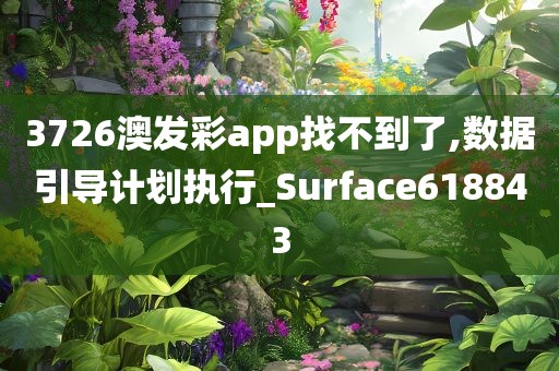 3726澳发彩app找不到了,数据引导计划执行_Surface618843