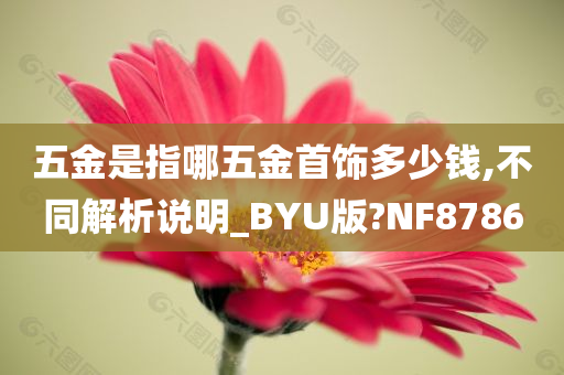 五金是指哪五金首饰多少钱,不同解析说明_BYU版?NF8786