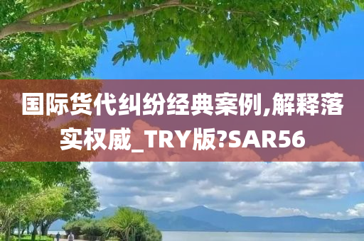 国际货代纠纷经典案例,解释落实权威_TRY版?SAR56