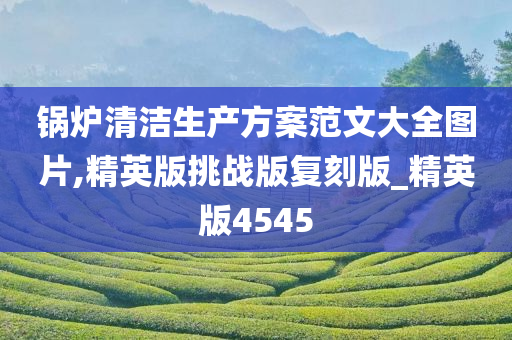 锅炉清洁生产方案范文大全图片,精英版挑战版复刻版_精英版4545