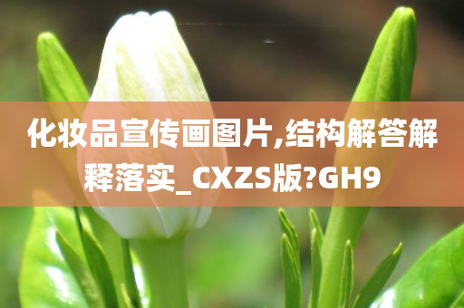 化妆品宣传画图片,结构解答解释落实_CXZS版?GH9