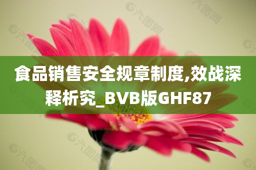 食品销售安全规章制度,效战深释析究_BVB版GHF87