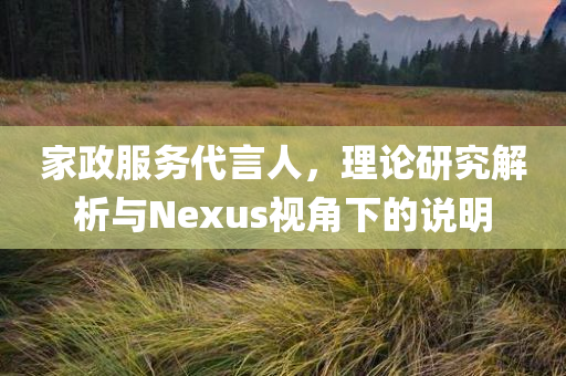 家政服务代言人，理论研究解析与Nexus视角下的说明