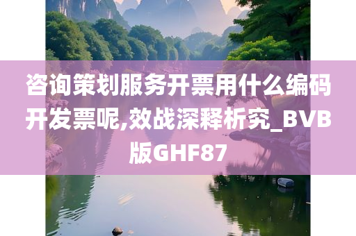 咨询策划服务开票用什么编码开发票呢,效战深释析究_BVB版GHF87