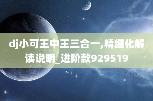 dj小可王中王三合一,精细化解读说明_进阶款929519