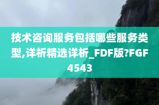 技术咨询服务包括哪些服务类型,详析精选详析_FDF版?FGF4543