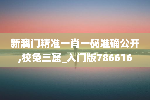 新澳门精准一肖一码准确公开,狡兔三窟_入门版786616