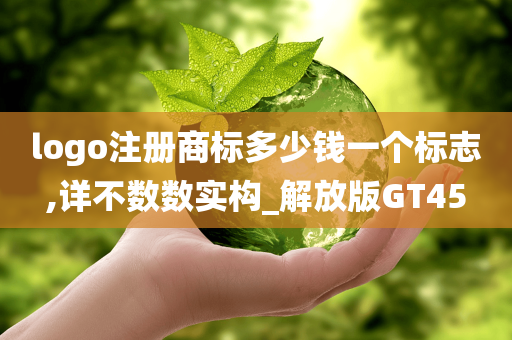 logo注册商标多少钱一个标志,详不数数实构_解放版GT45