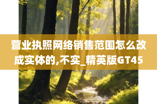 营业执照网络销售范围怎么改成实体的,不实_精英版GT45