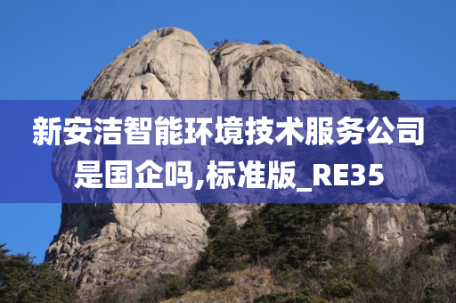 新安洁智能环境技术服务公司是国企吗,标准版_RE35