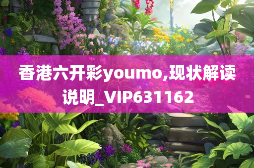 香港六开彩youmo,现状解读说明_VIP631162