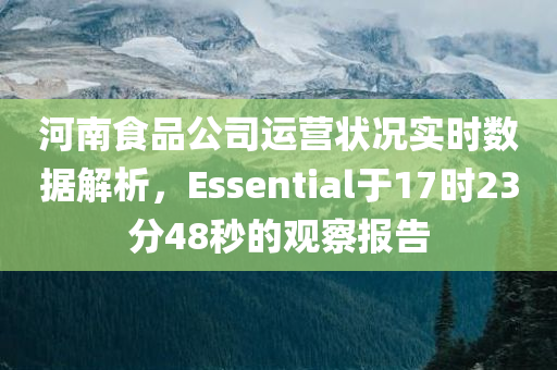 河南食品公司运营状况实时数据解析，Essential于17时23分48秒的观察报告