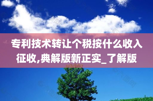 专利技术转让个税按什么收入征收,典解版新正实_了解版