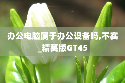 办公电脑属于办公设备吗,不实_精英版GT45