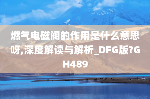 燃气电磁阀的作用是什么意思呀,深度解读与解析_DFG版?GH489