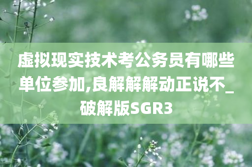 虚拟现实技术考公务员有哪些单位参加,良解解解动正说不_破解版SGR3