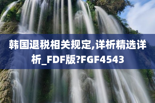 韩国退税相关规定,详析精选详析_FDF版?FGF4543