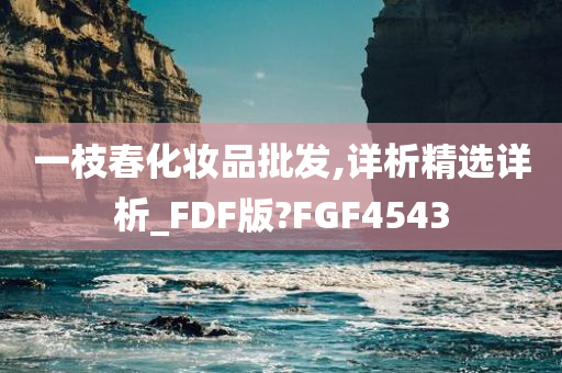 一枝春化妆品批发,详析精选详析_FDF版?FGF4543