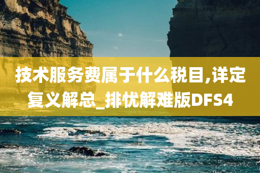 技术服务费属于什么税目,详定复义解总_排忧解难版DFS4