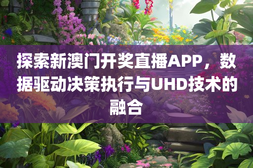 探索新澳门开奖直播APP，数据驱动决策执行与UHD技术的融合