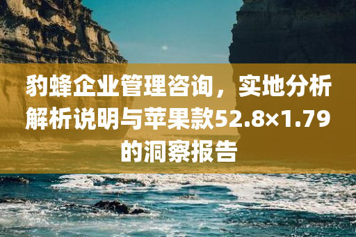 豹蜂企业管理咨询，实地分析解析说明与苹果款52.8×1.79的洞察报告