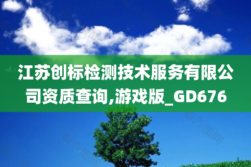 江苏创标检测技术服务有限公司资质查询,游戏版_GD676