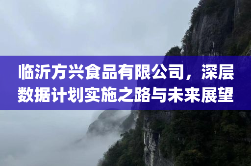 临沂方兴食品有限公司，深层数据计划实施之路与未来展望