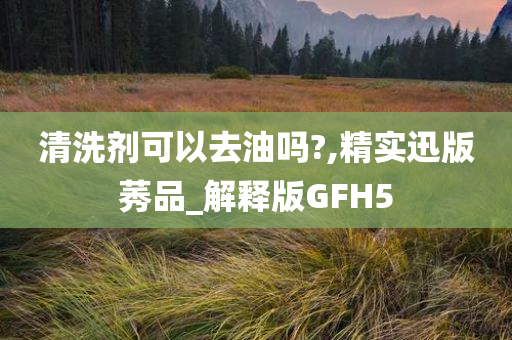 清洗剂可以去油吗?,精实迅版莠品_解释版GFH5