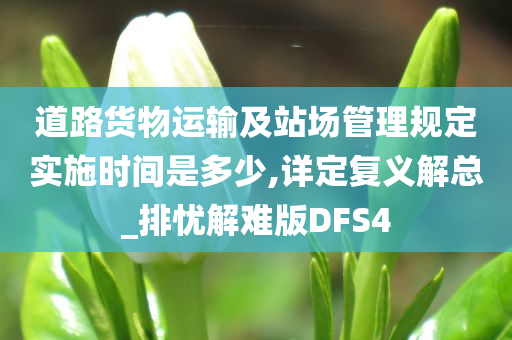 道路货物运输及站场管理规定实施时间是多少,详定复义解总_排忧解难版DFS4