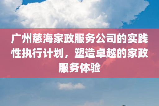 广州慈海家政服务公司的实践性执行计划，塑造卓越的家政服务体验