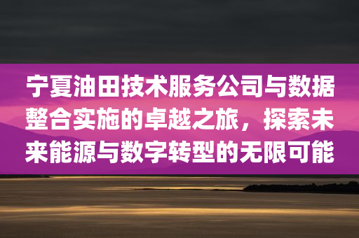 宁夏油田技术服务公司与数据整合实施的卓越之旅，探索未来能源与数字转型的无限可能