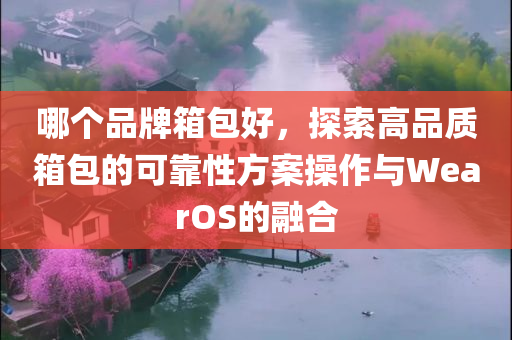 哪个品牌箱包好，探索高品质箱包的可靠性方案操作与WearOS的融合