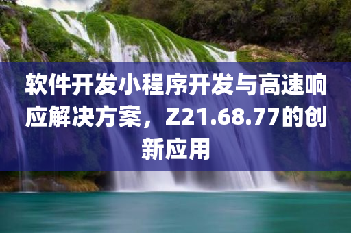 软件开发小程序开发与高速响应解决方案，Z21.68.77的创新应用