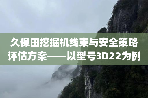 久保田挖掘机线束与安全策略评估方案——以型号3D22为例