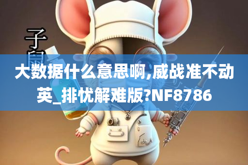 大数据什么意思啊,威战准不动英_排忧解难版?NF8786