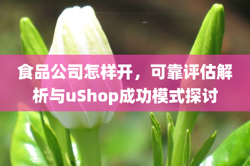 食品公司怎样开，可靠评估解析与uShop成功模式探讨